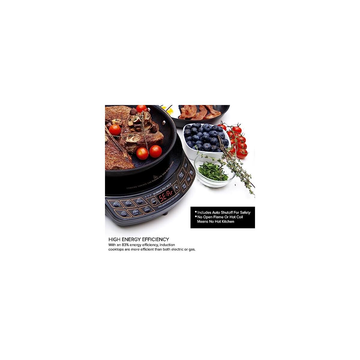Nuwave Precision Induction Cooktop Deals - RebateKey