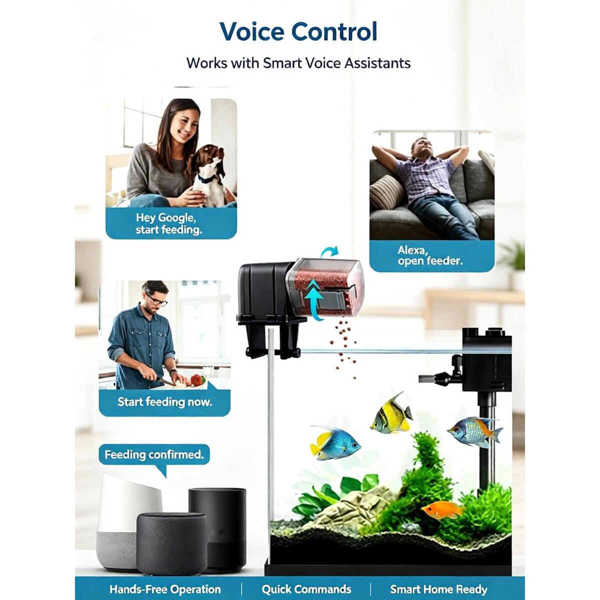 Wifi Automatic Fish Deals - RebateKey