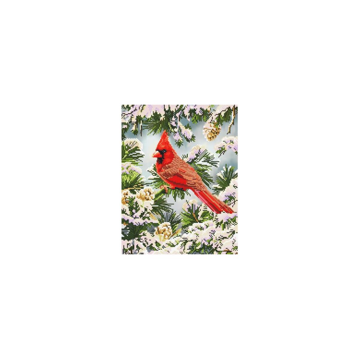 Diamond Dotz Good Fortune Deal - RebateKey