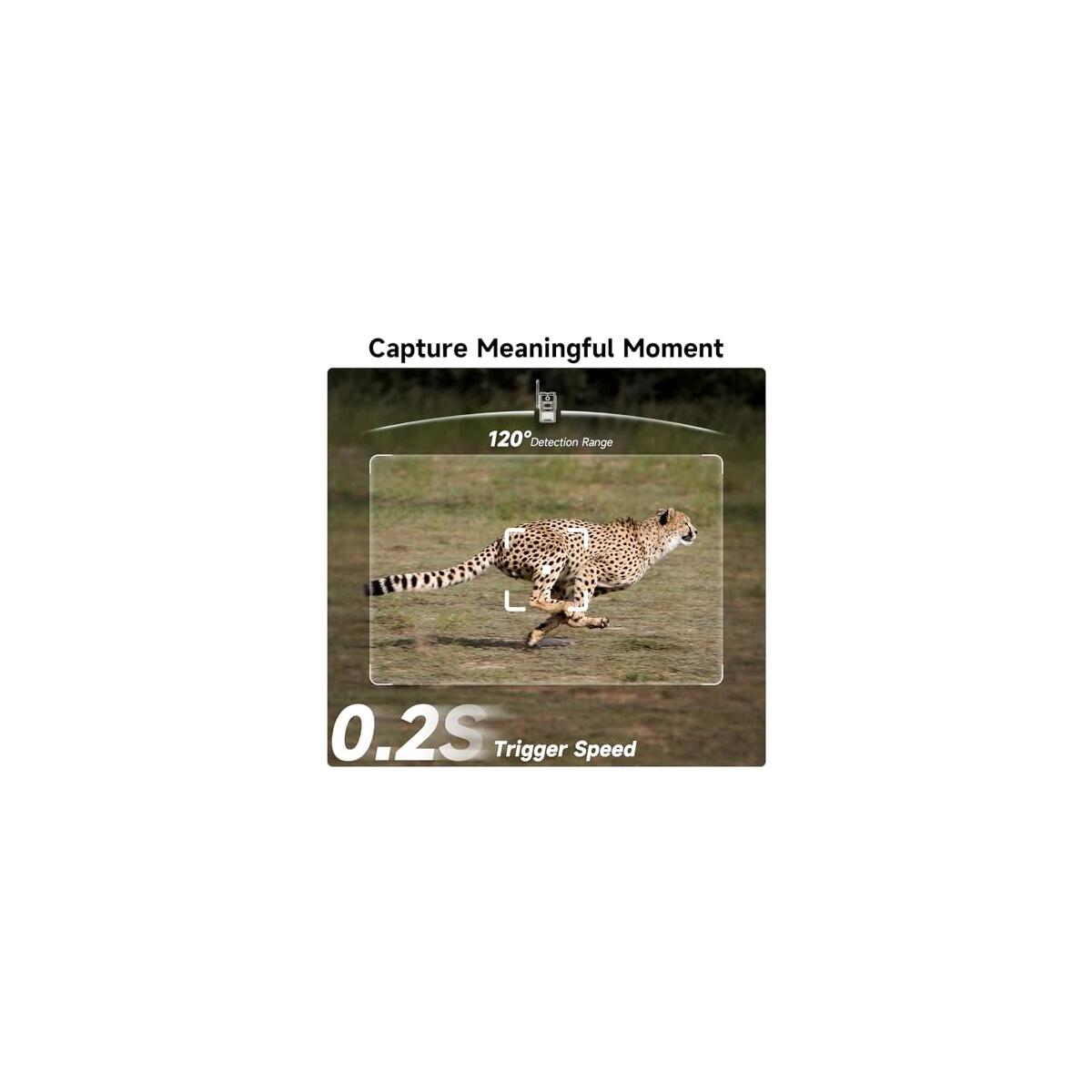 Trail Camera Unlimited Data Plan Cellular Trail Coupons - RebateKey