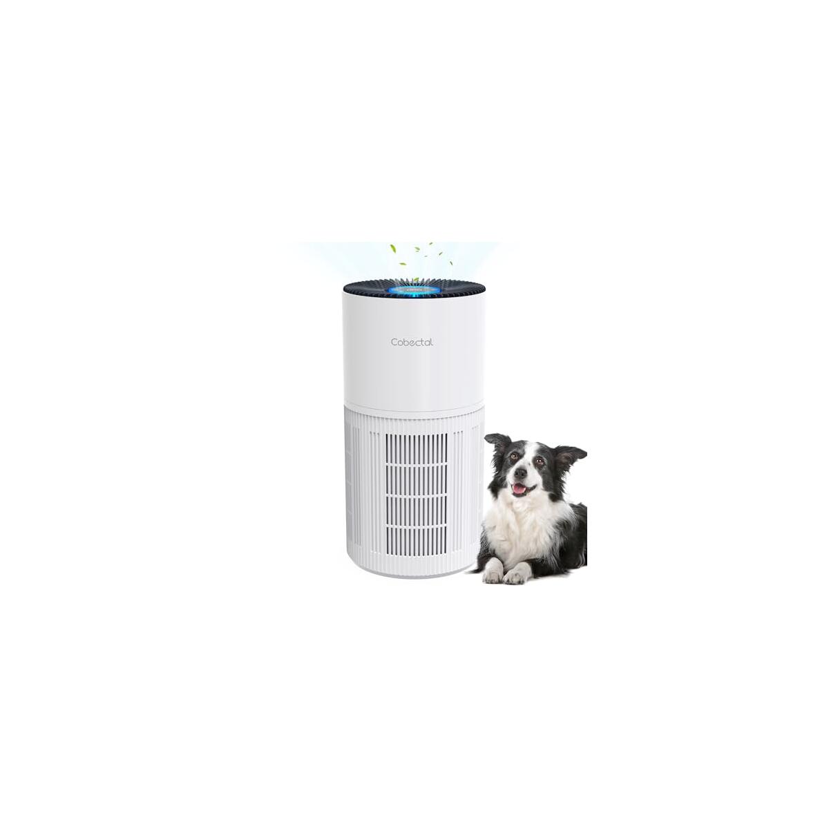 Air Purifiers For Home 5 Deals - RebateKey