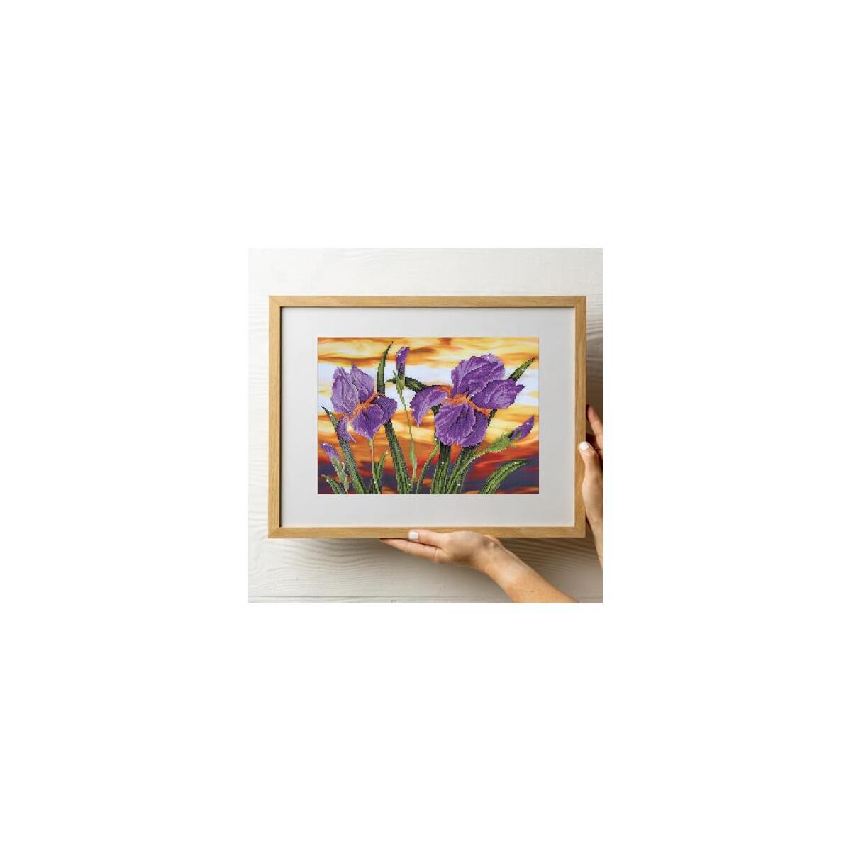 Diamond Dotz Iris Sunset Deals - RebateKey