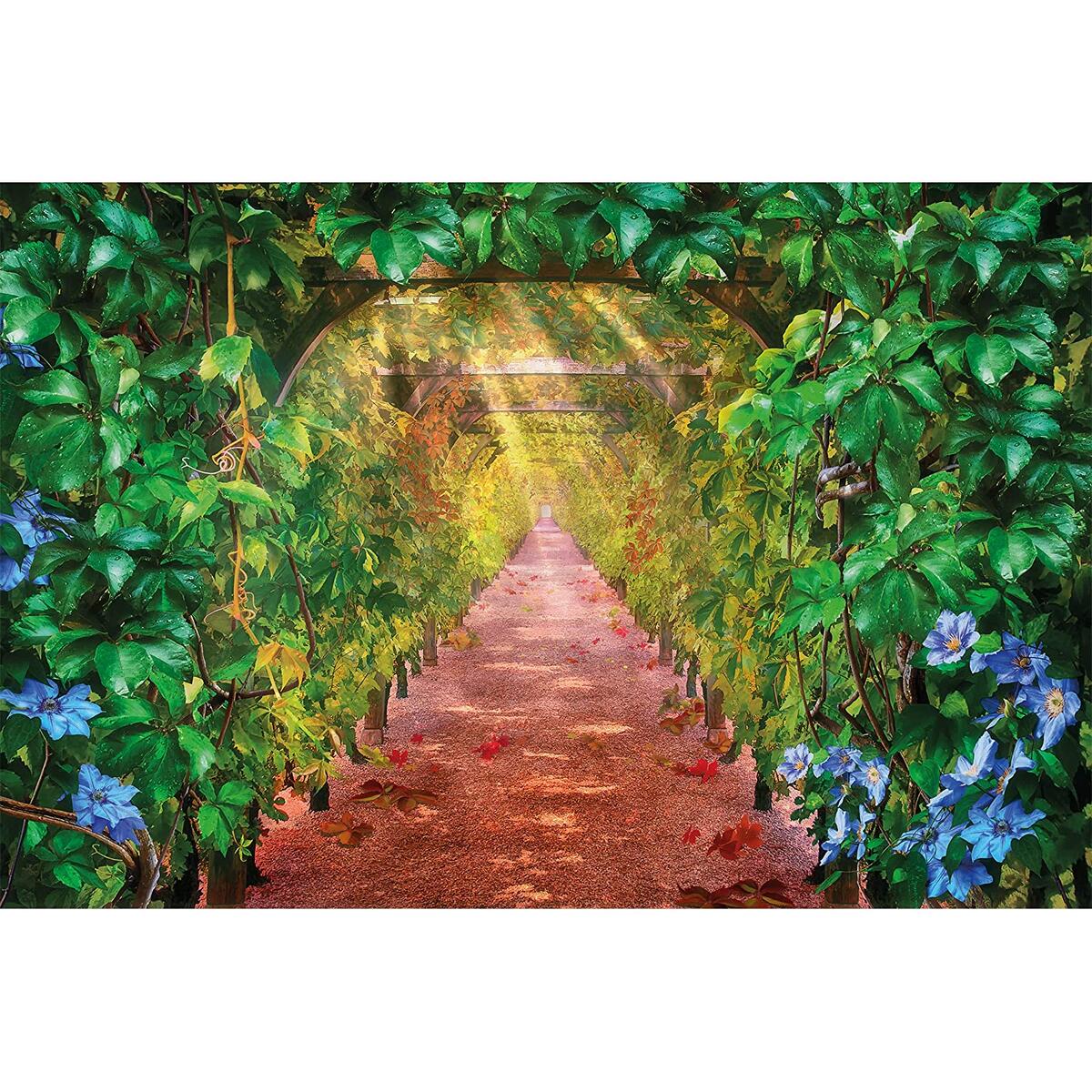 Poster Grape Vine Alley Deals - RebateKey