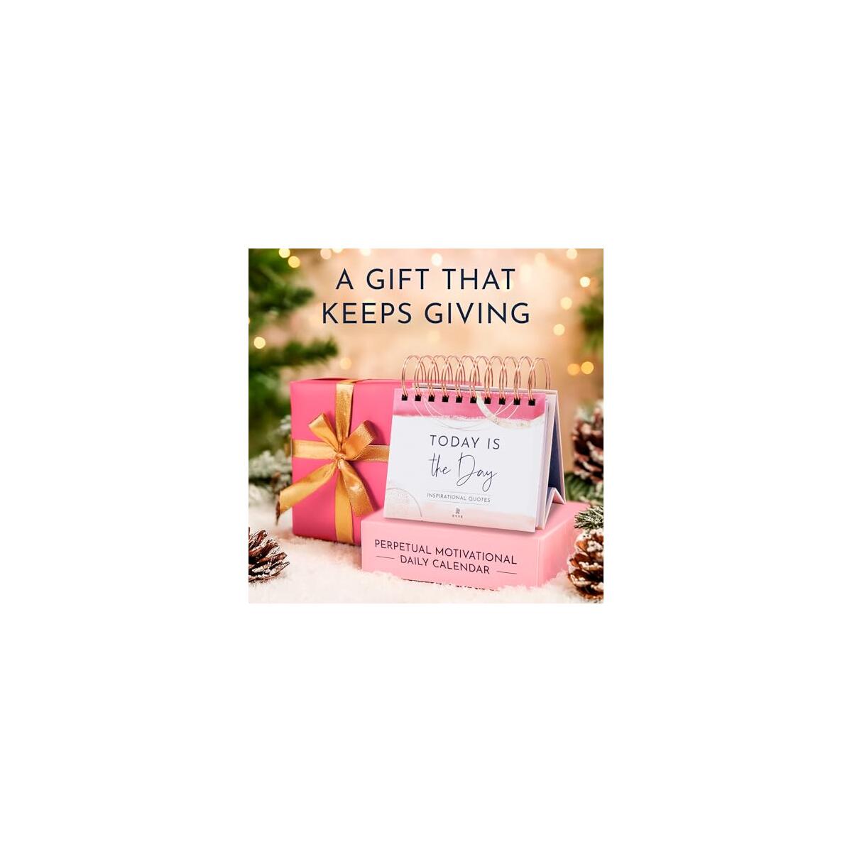 Ryve Motivational Calendar Coupons - RebateKey