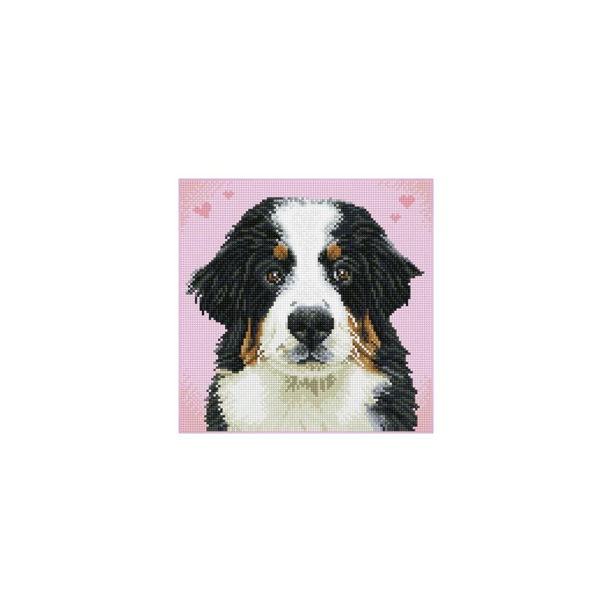 Diamond Dotz Say Hello 1 Deal - RebateKey