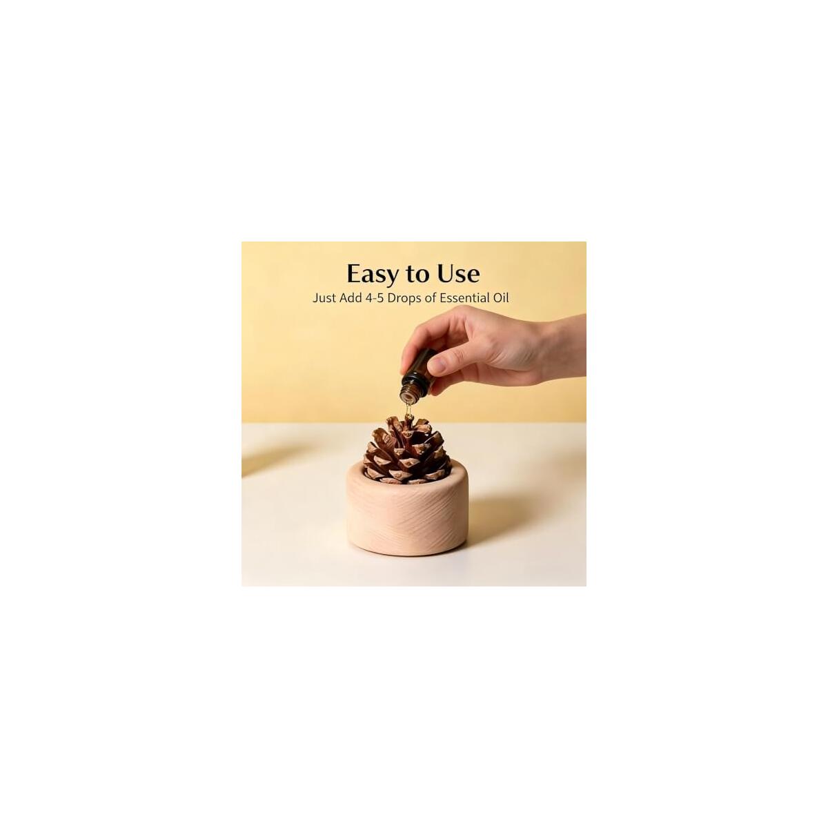 Pine Cone Passive 1 Promo Code - RebateKey
