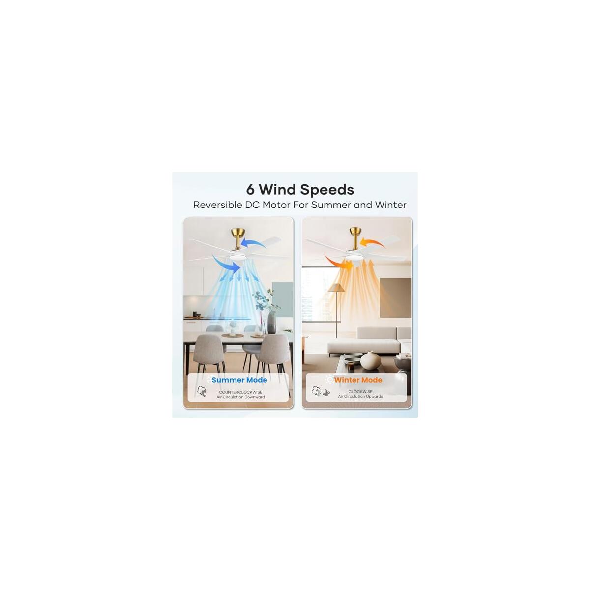 Luxury Modern Ceiling Fans With Lights Coupon - RebateKey