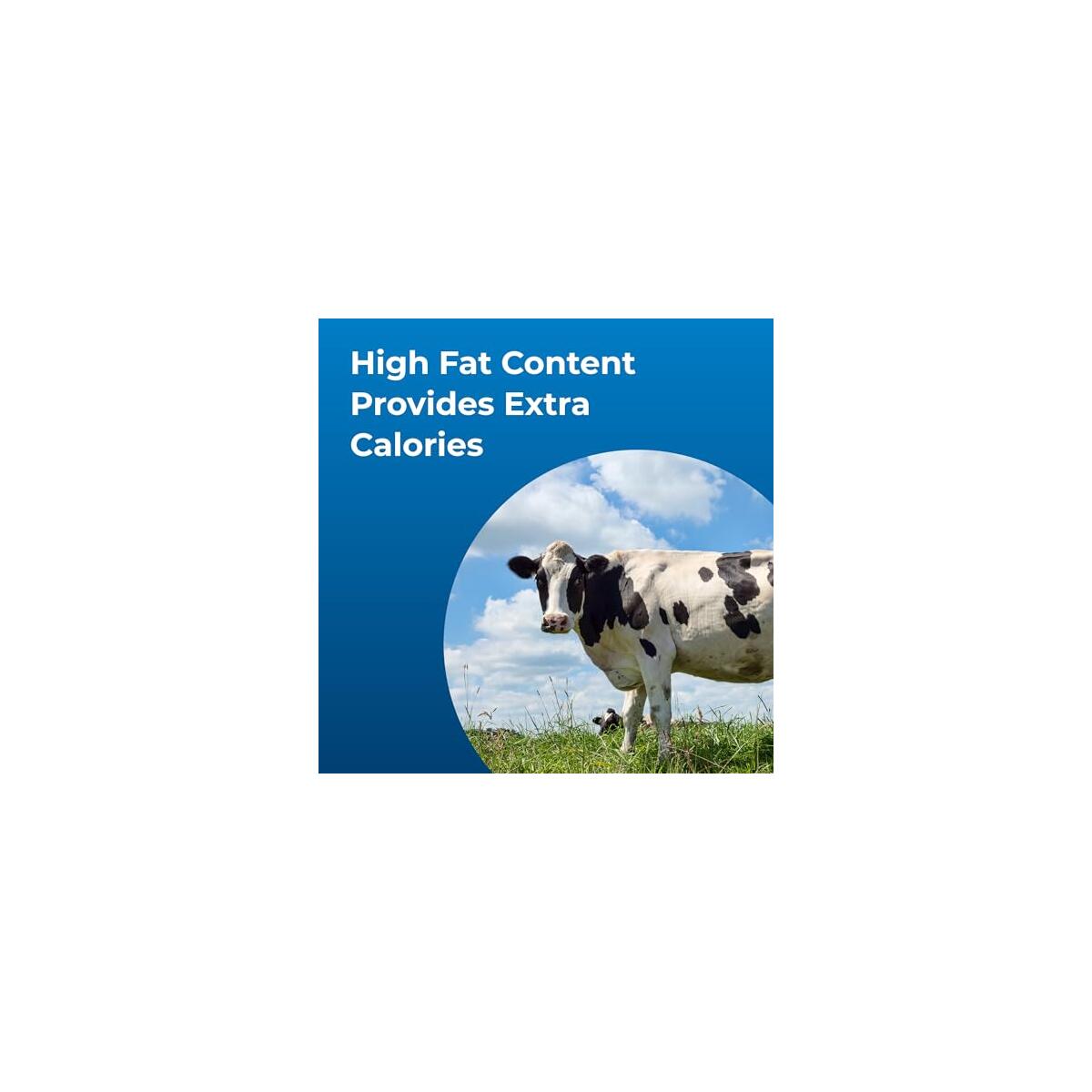 Petag Dyne High Calorie 1 Deal - RebateKey