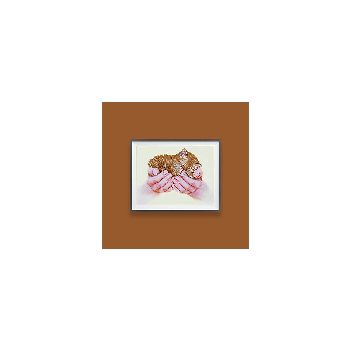 Diamond Dotz Precious Kitten Promo Code - RebateKey