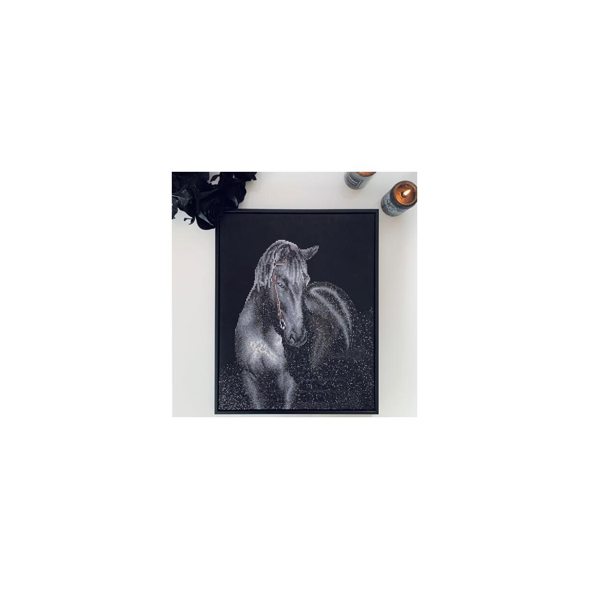 Diamond Dotz Midnight Stallion Deal - RebateKey