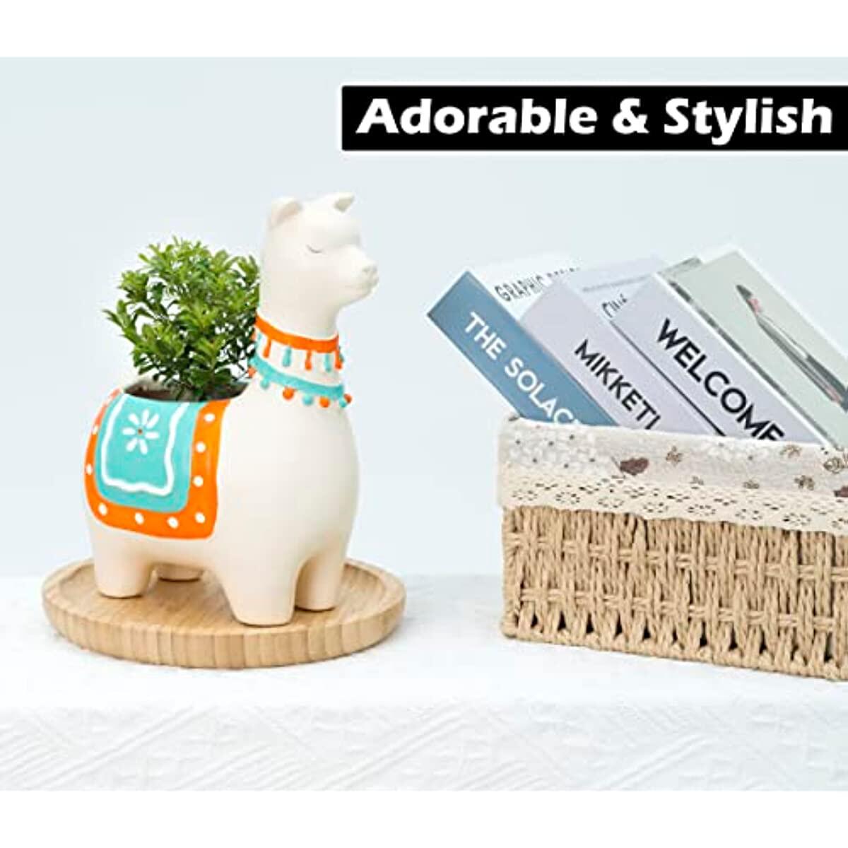 Artconal Llama Planter Pots 2 Coupon - RebateKey