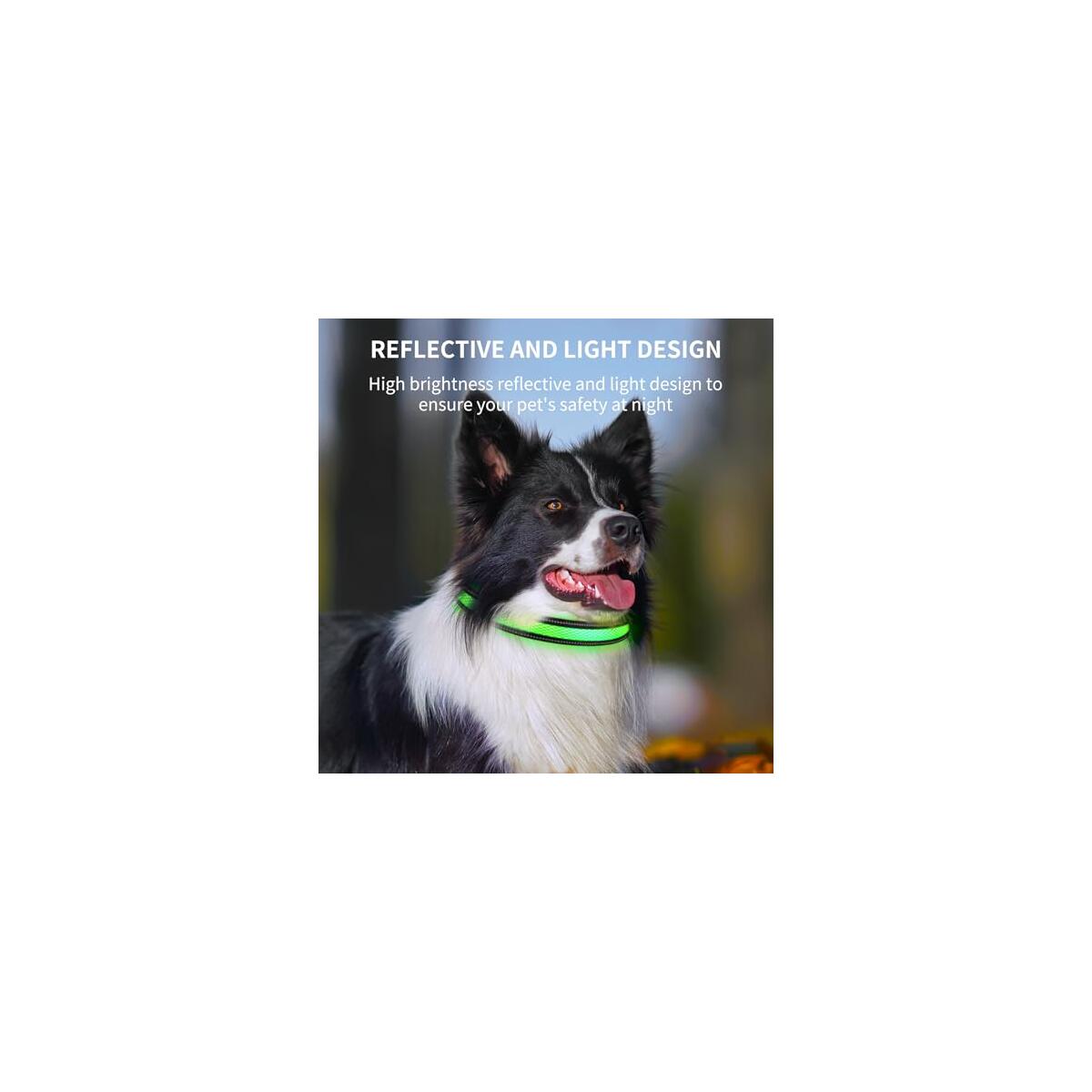 Airtag Dog Collar Deal - RebateKey