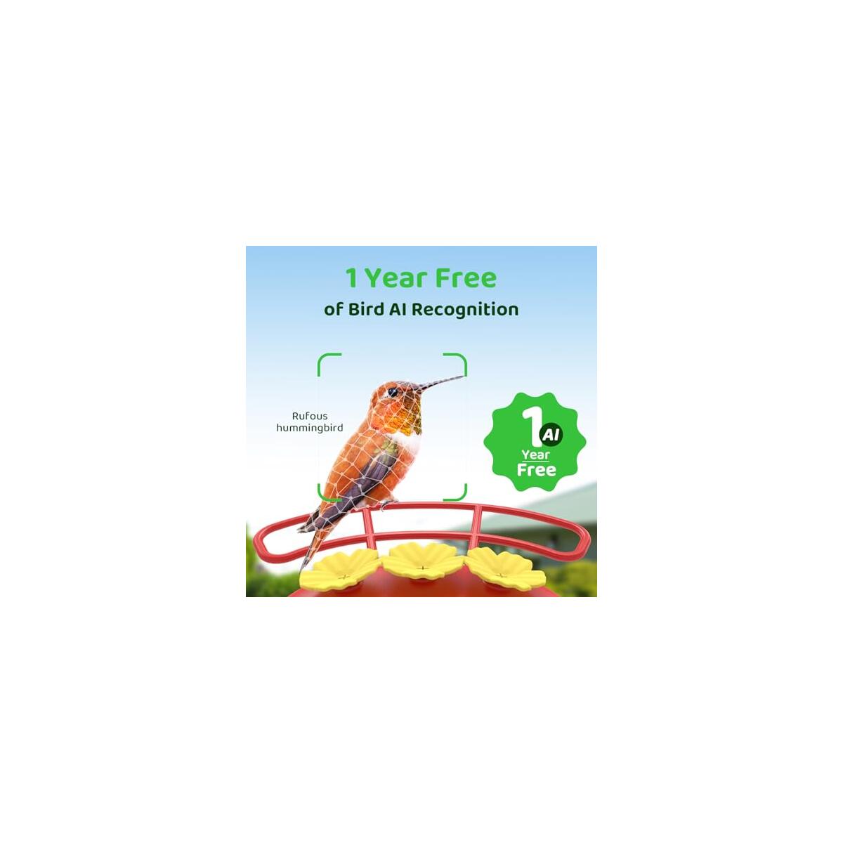 Smart Hummingbird Feeder Promo Codes - RebateKey