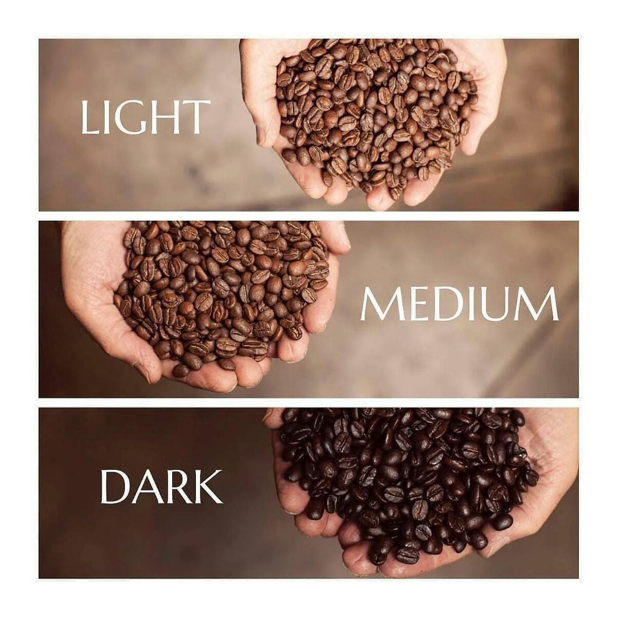 Bean Blend Coupon - RebateKey