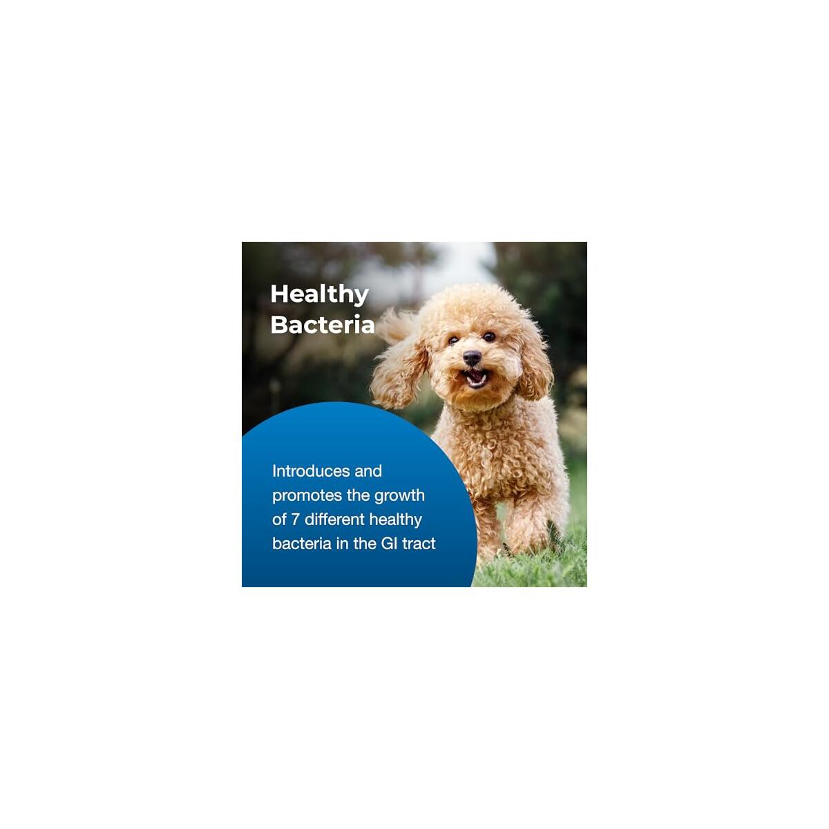 Petag Bene Bac Plus Promo Code - RebateKey