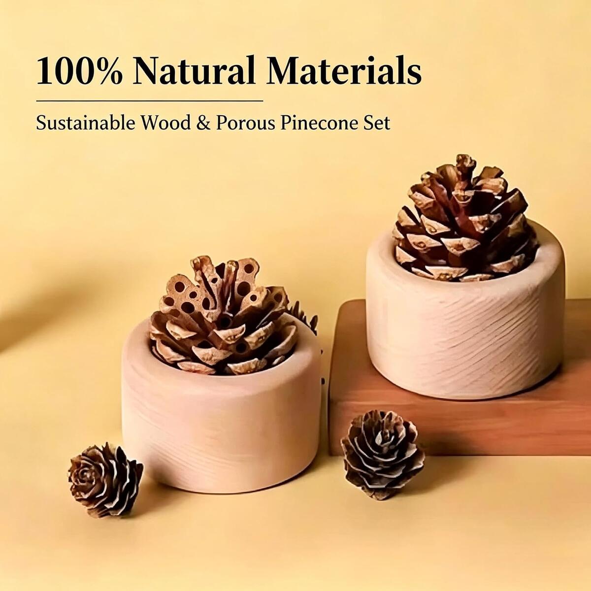 Pine Cone Passive 2 Promo Code - RebateKey