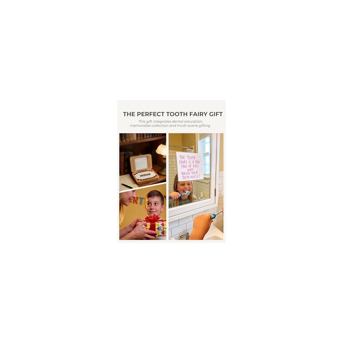 Fairy Tooth Holder 2 Coupon - RebateKey
