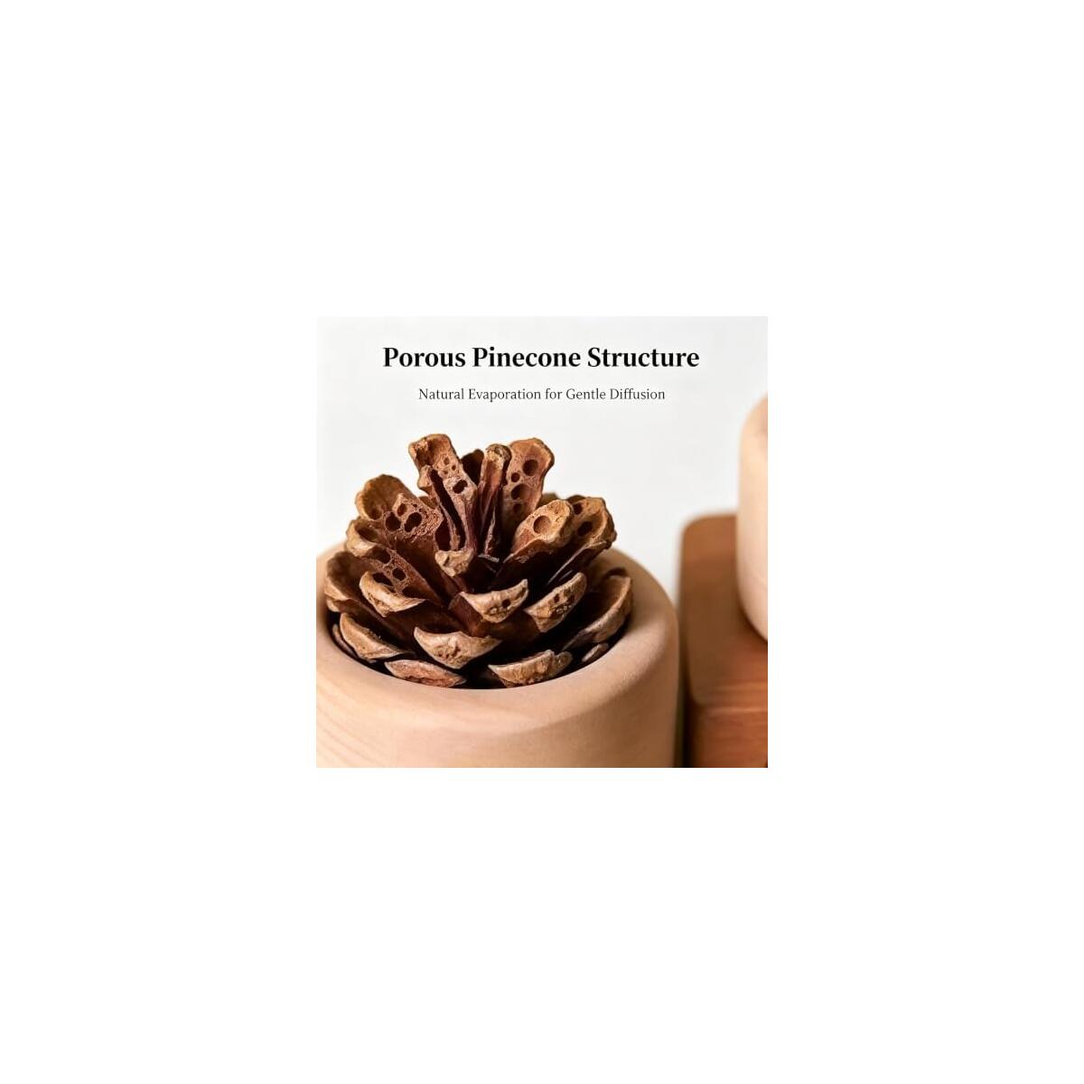Pine Cone Passive 1 Promo Code - RebateKey