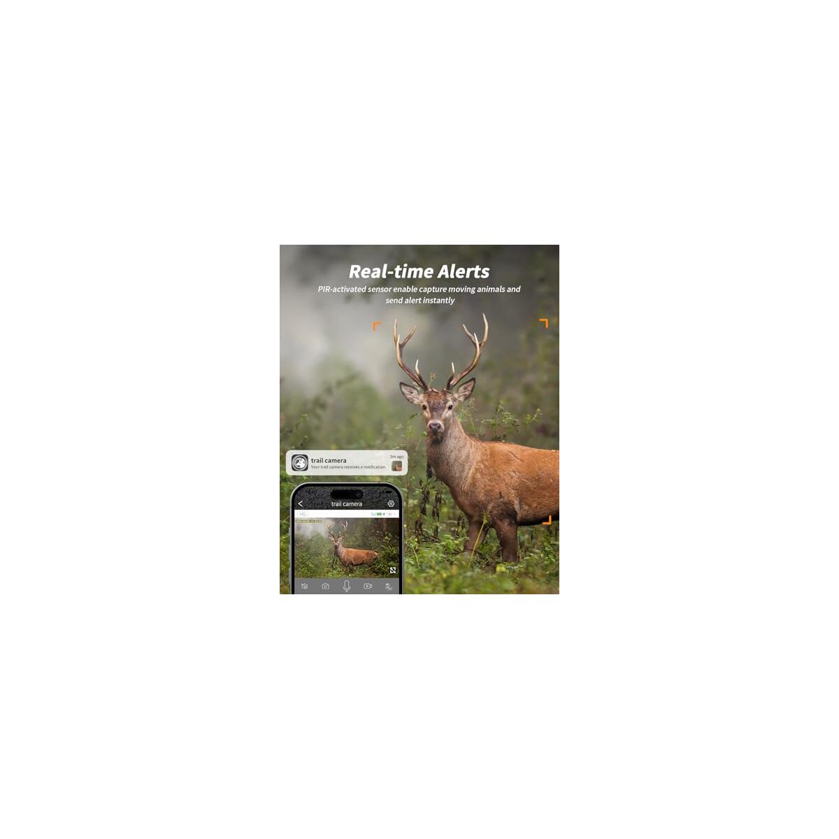 Cellular Trail Camera Promo Code - RebateKey