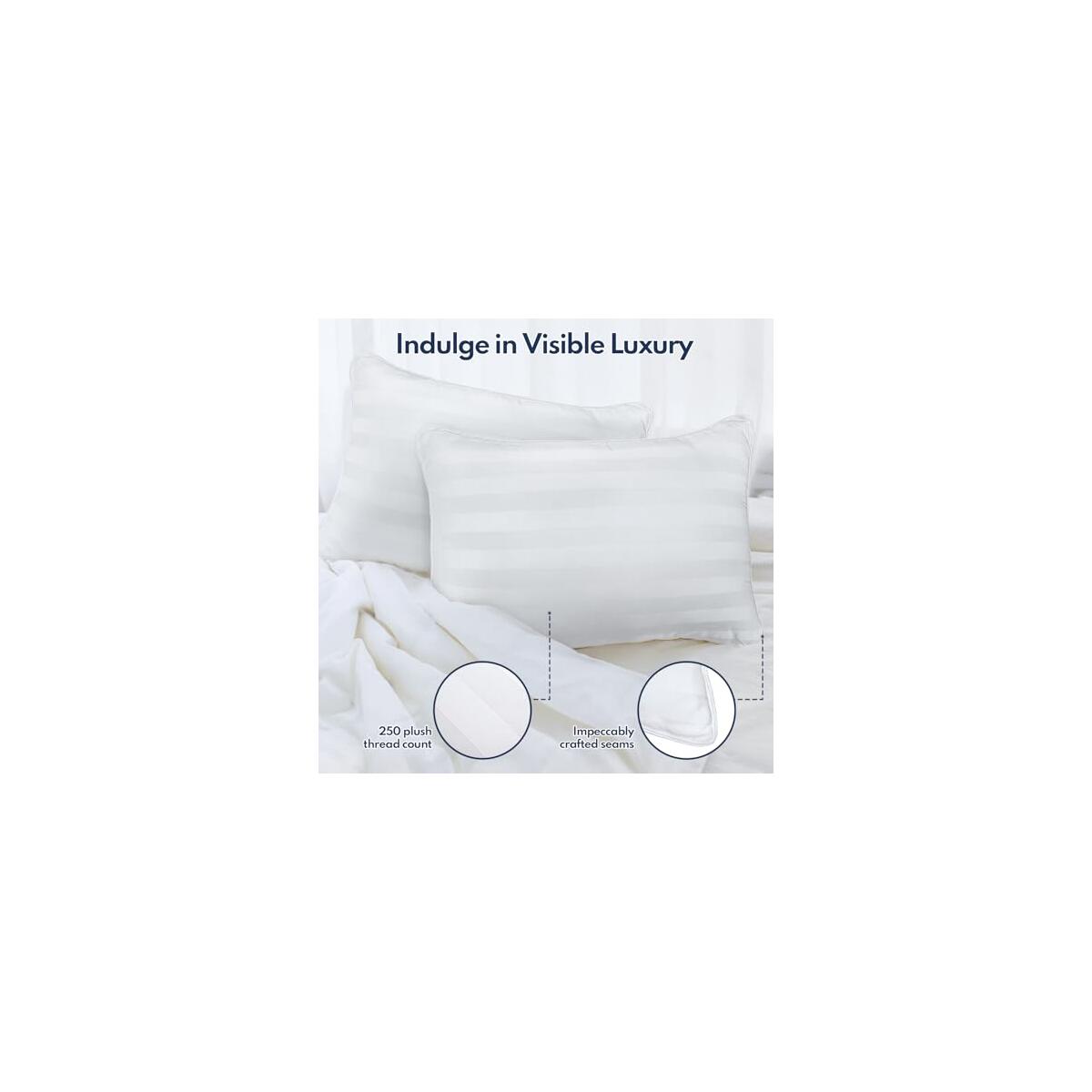 Dioris Pillows Queen Size Set Of 2 Promo Code - RebateKey