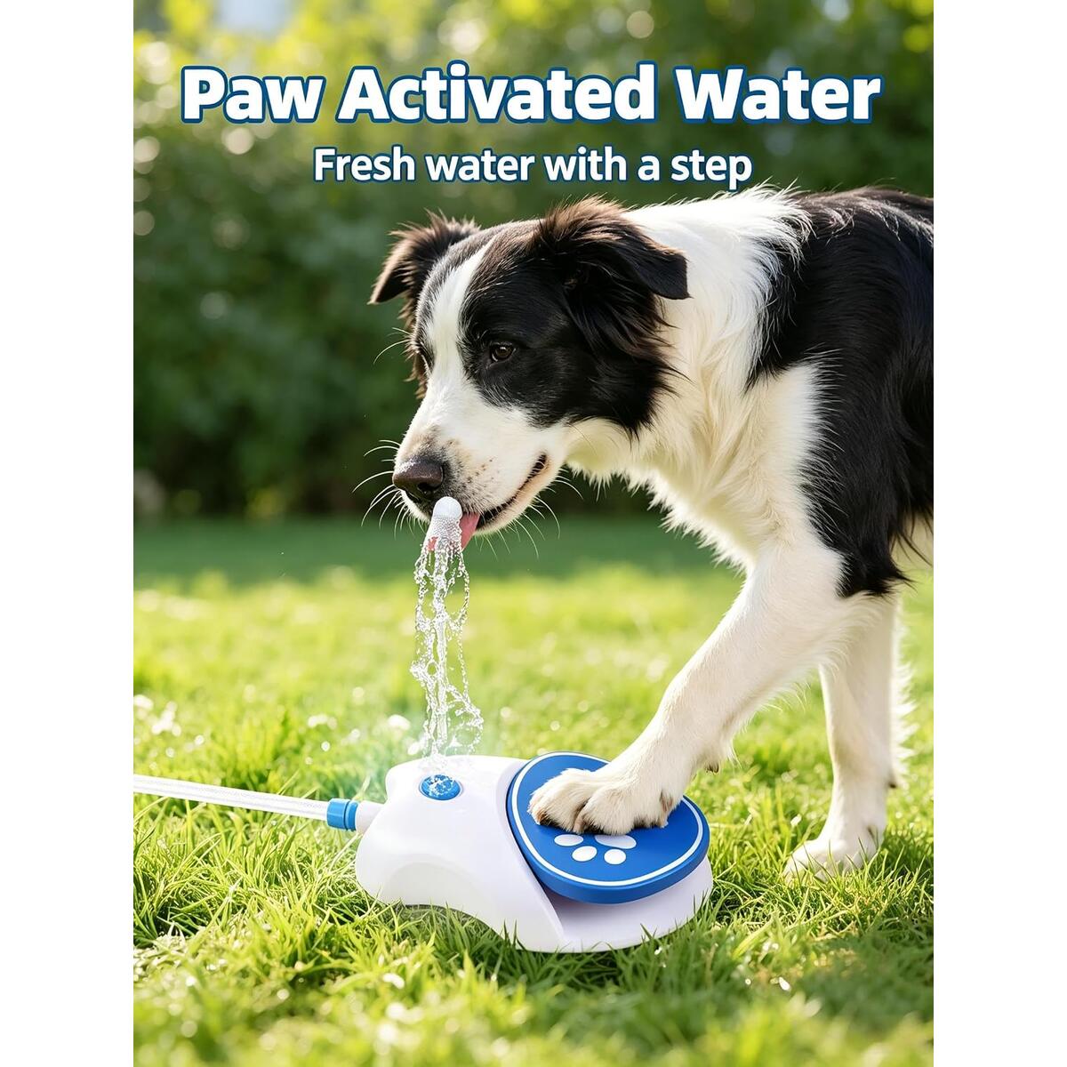 Dog Water Fountain 1 Promo Code - RebateKey
