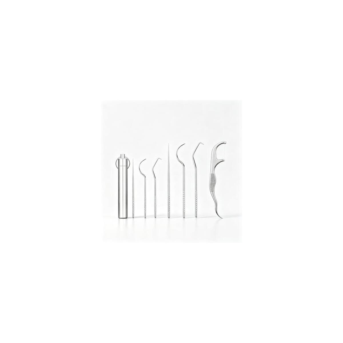 Stainless Steel Toothpick Set, 7-Pcs with Storage Tube