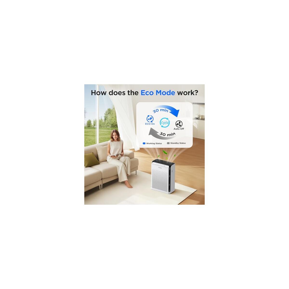 Hepa Air Filter Coupons - RebateKey