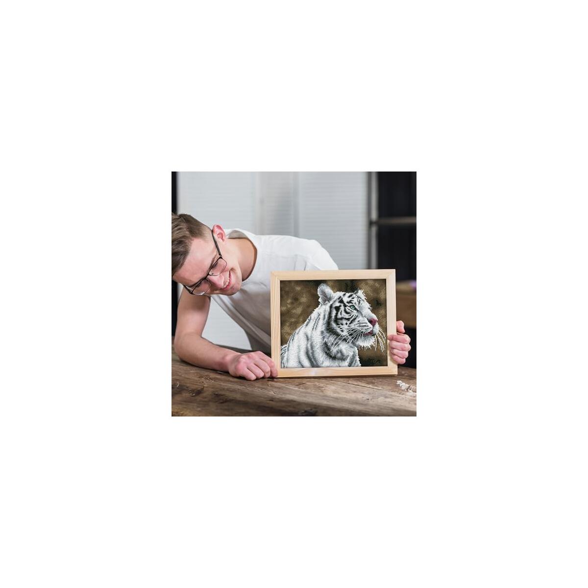 Diamond Dotz Tiger Blanc Promo Codes - RebateKey