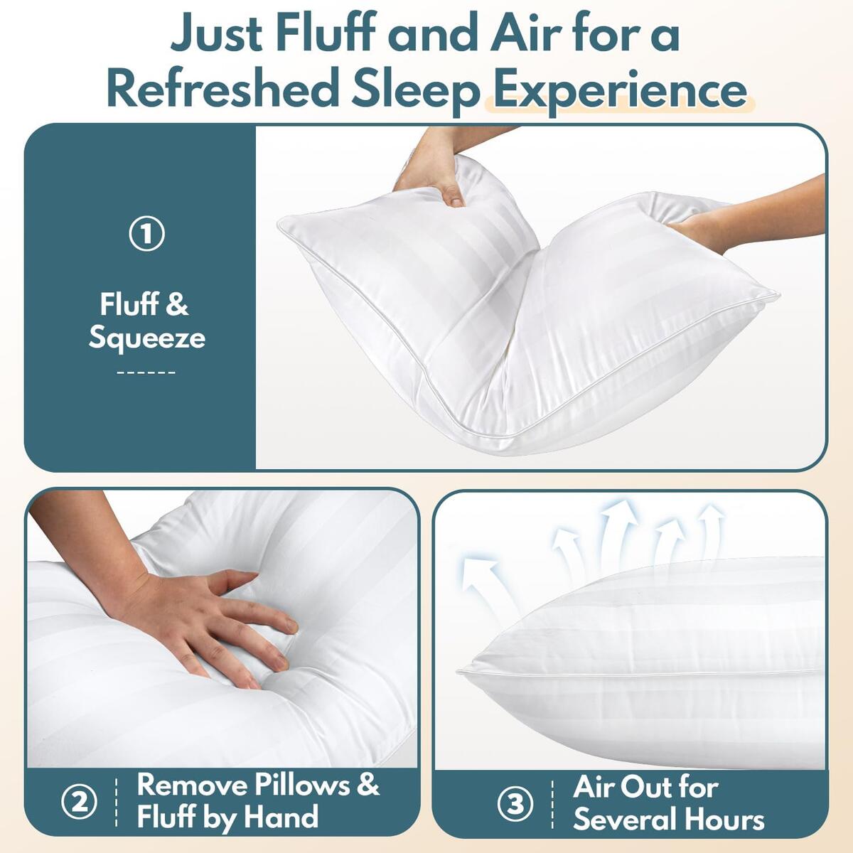 Dioris Pillows Queen Coupons - RebateKey
