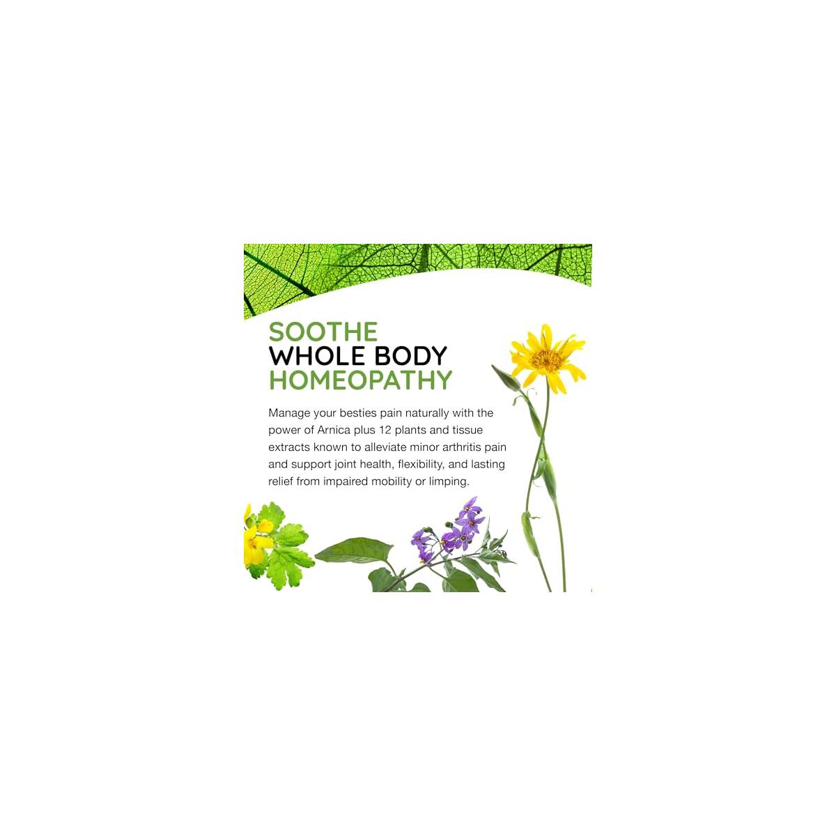 Medinatura T Relief Pet Arthritis Promo Codes - RebateKey