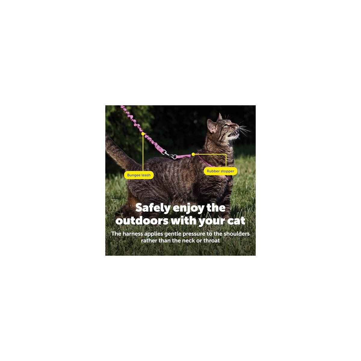 Petsafe Come With Me Deal - RebateKey