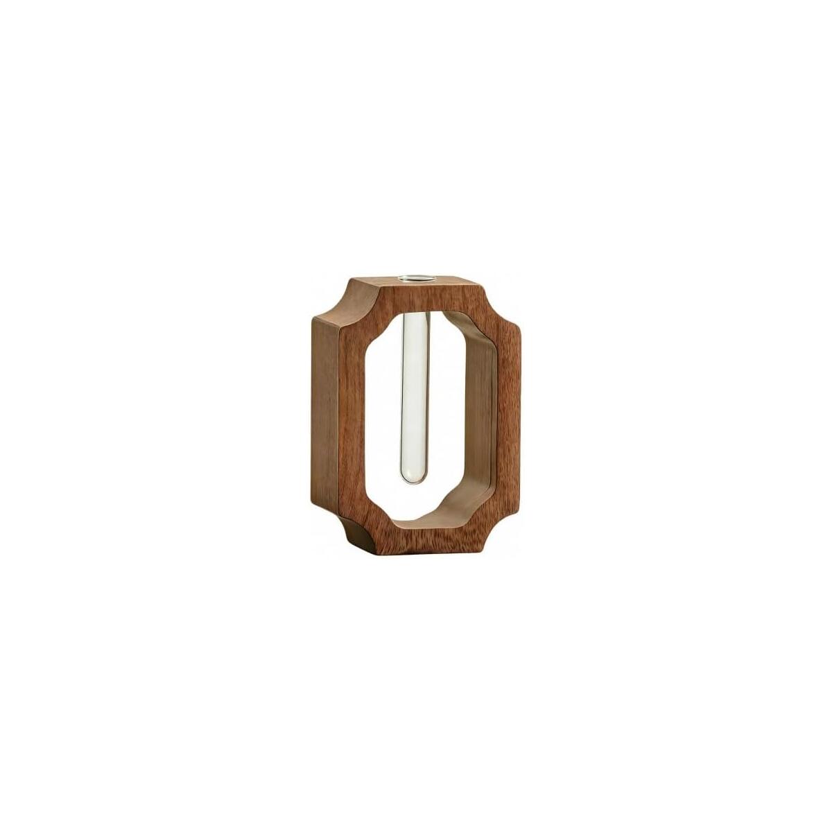 Hydroponic Glass Vase with Walnut Wood Frame