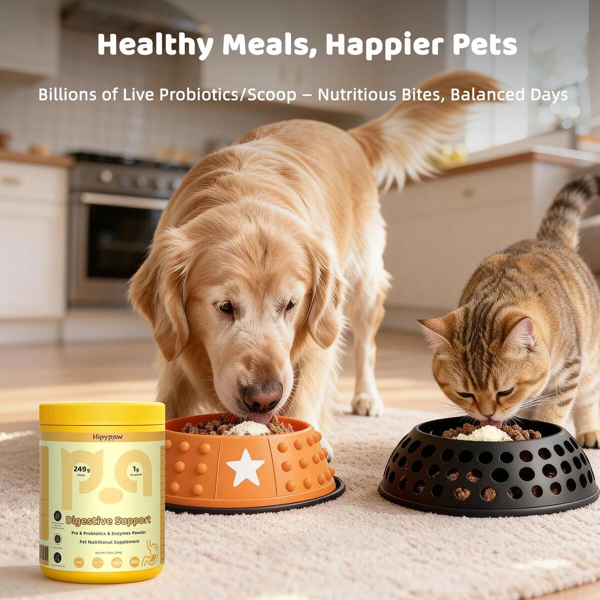 Gut Digestive Health Coupons - RebateKey