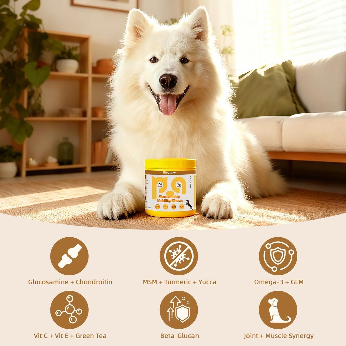 Hip Joint Support Coupon - RebateKey