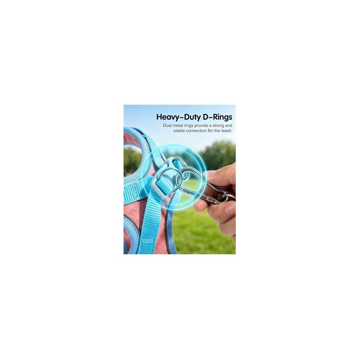 Cat Harness With Reflective Deal - RebateKey