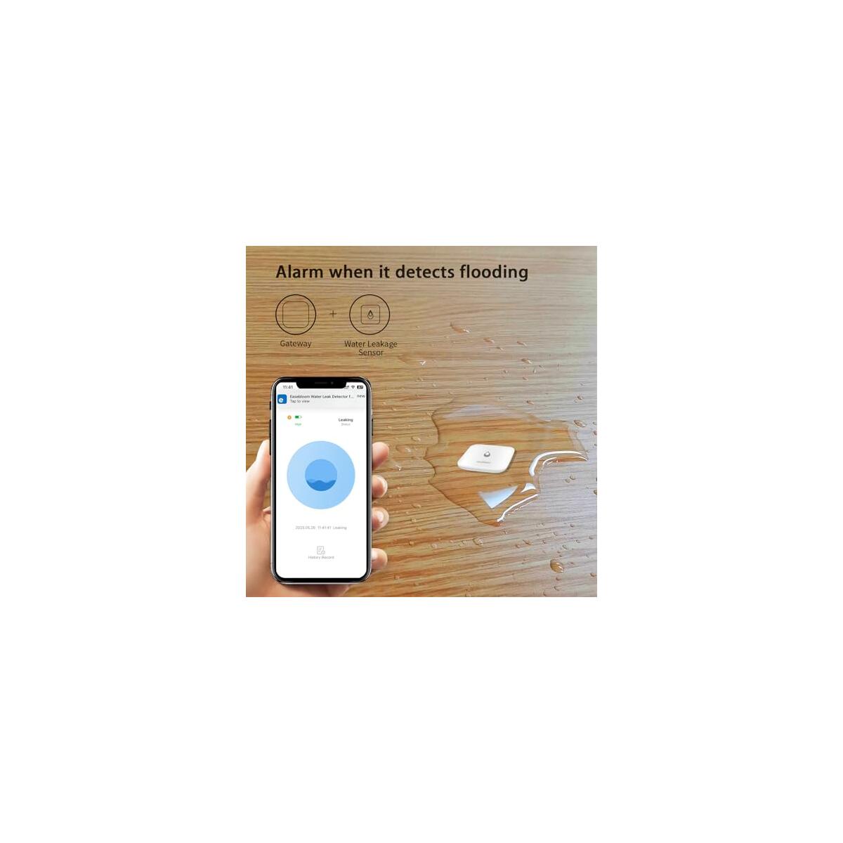 Water Leak Detector For Home Deals - RebateKey