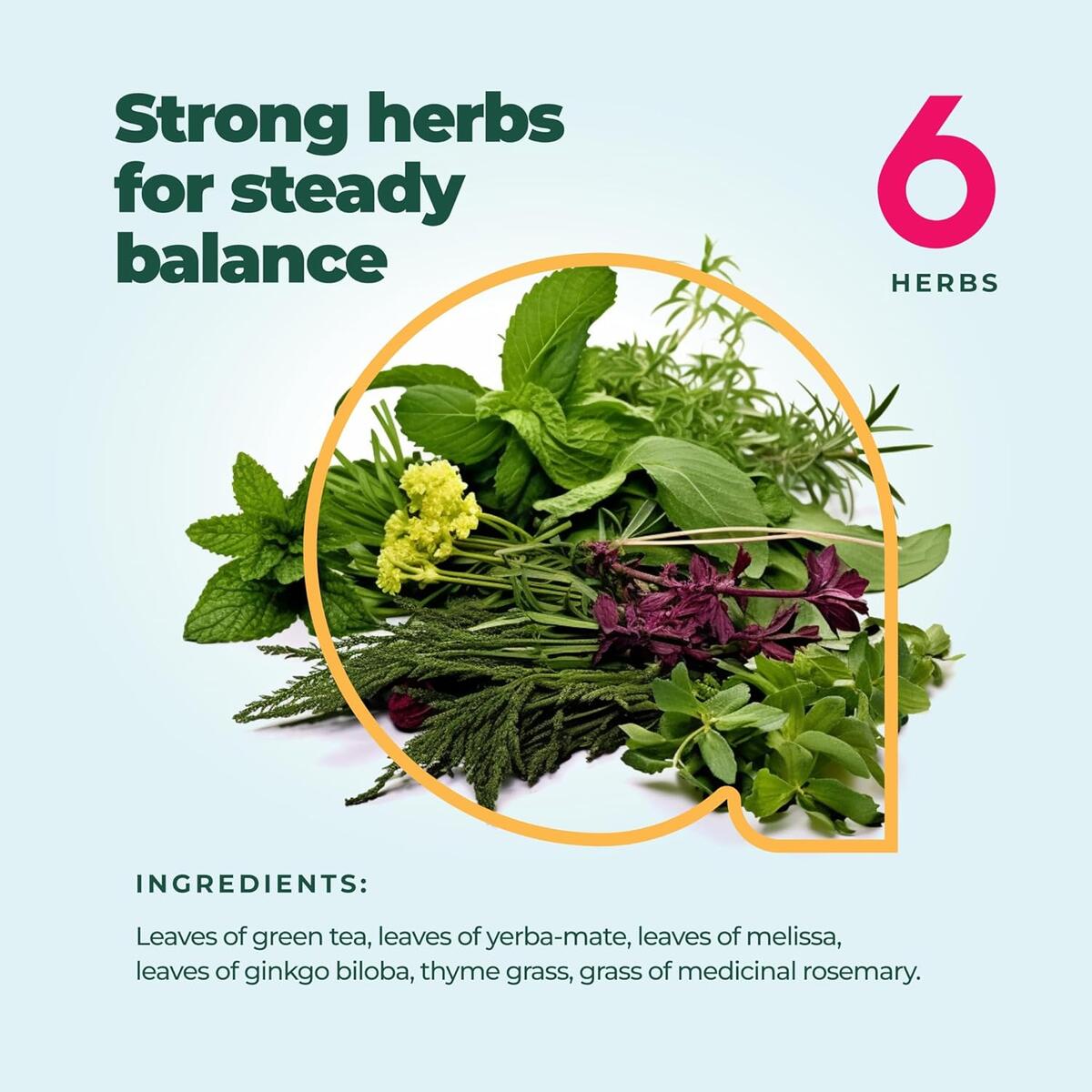 Concentration Herbal Tea 1 Coupons - RebateKey