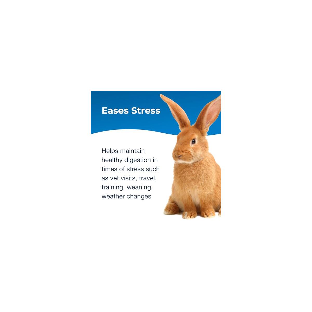 Petag Bene Bac Plus Promo Code - RebateKey