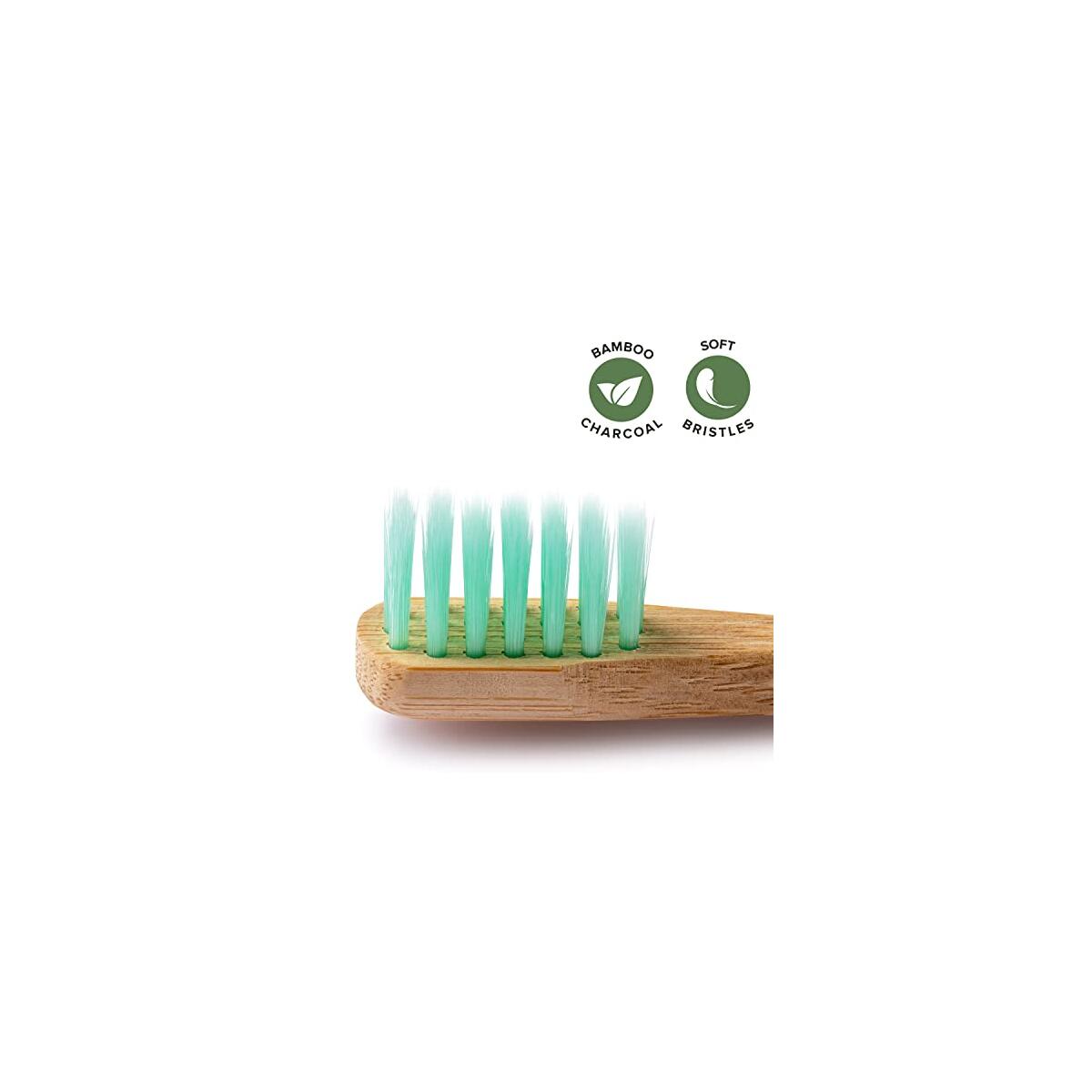Kids Bamboo Toothbrushes Coupons - RebateKey