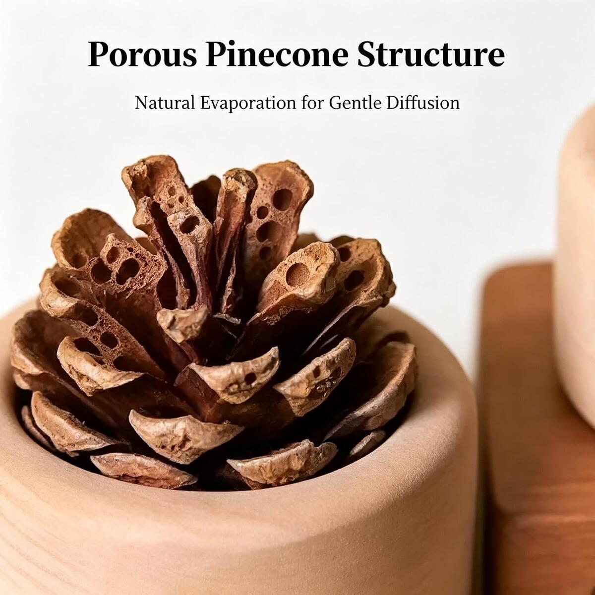 Pine Cone Passive 2 Promo Code - RebateKey