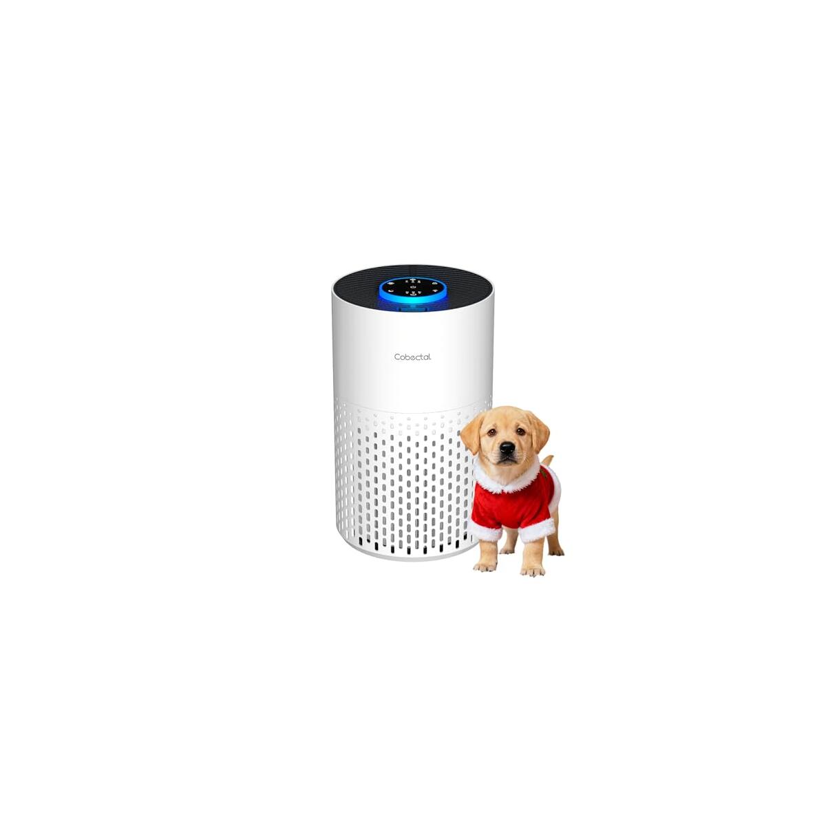 Air Purifiers For Bedroom 1 Deals - RebateKey