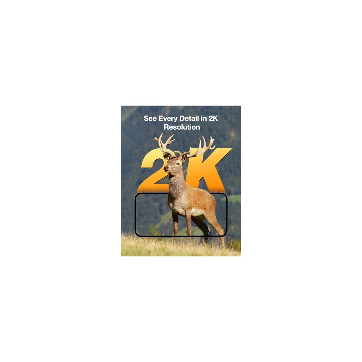 Trail Camera 2packs Coupons - RebateKey