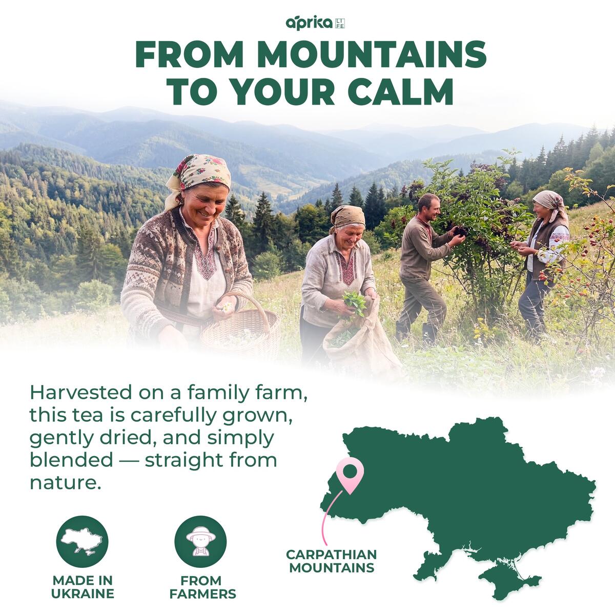 Calm And Relax Herbal 1 Promo Code - RebateKey