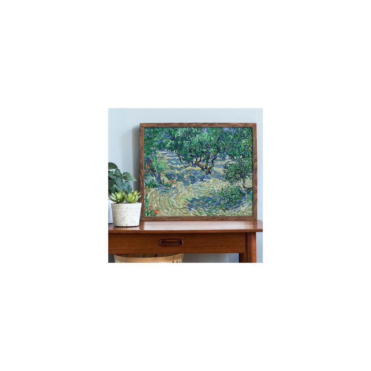 Diamond Dotz Olive Orchard Promo Code - RebateKey