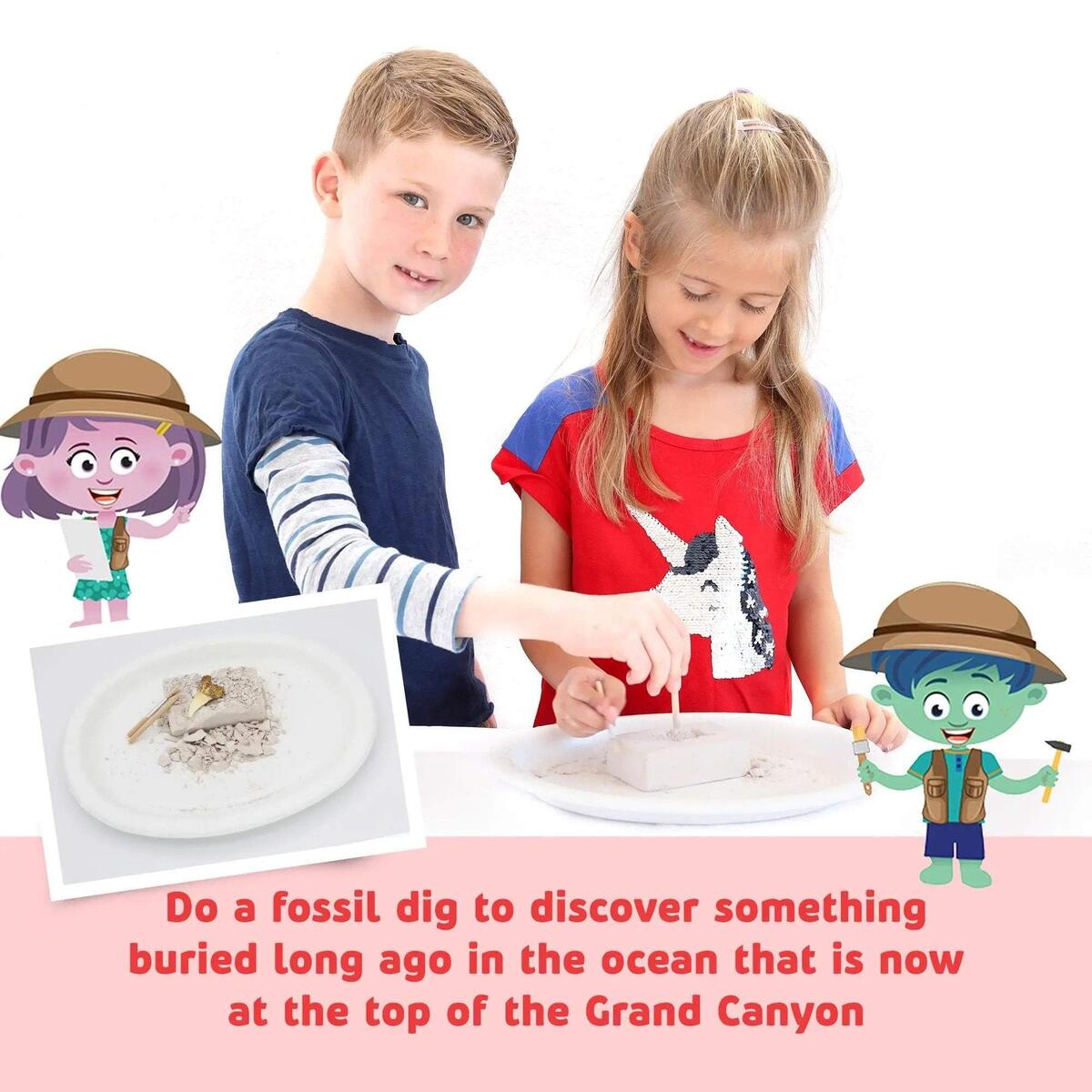 Fossil Dig Promo Codes - RebateKey