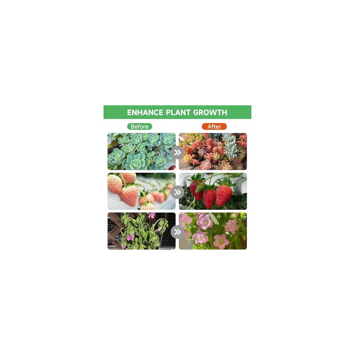 8 Solar Grow Coupon - RebateKey