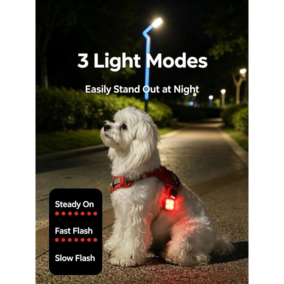 Rechargeable Led Dog 1 Coupon - RebateKey