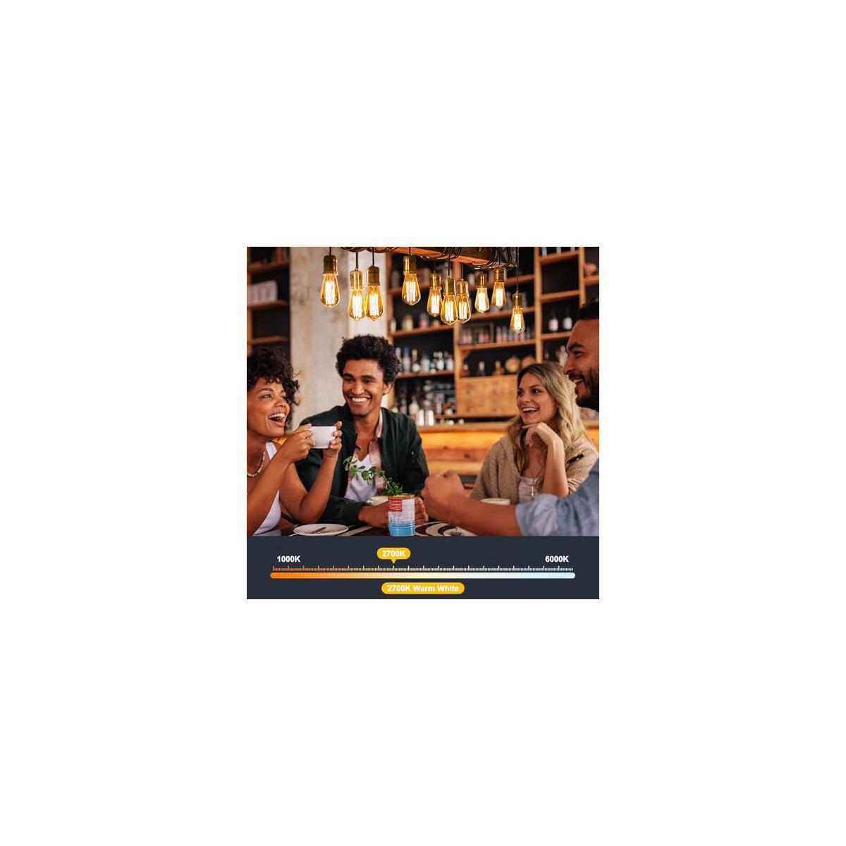 6 Pack Led Edison Light Bulbs Coupons - RebateKey