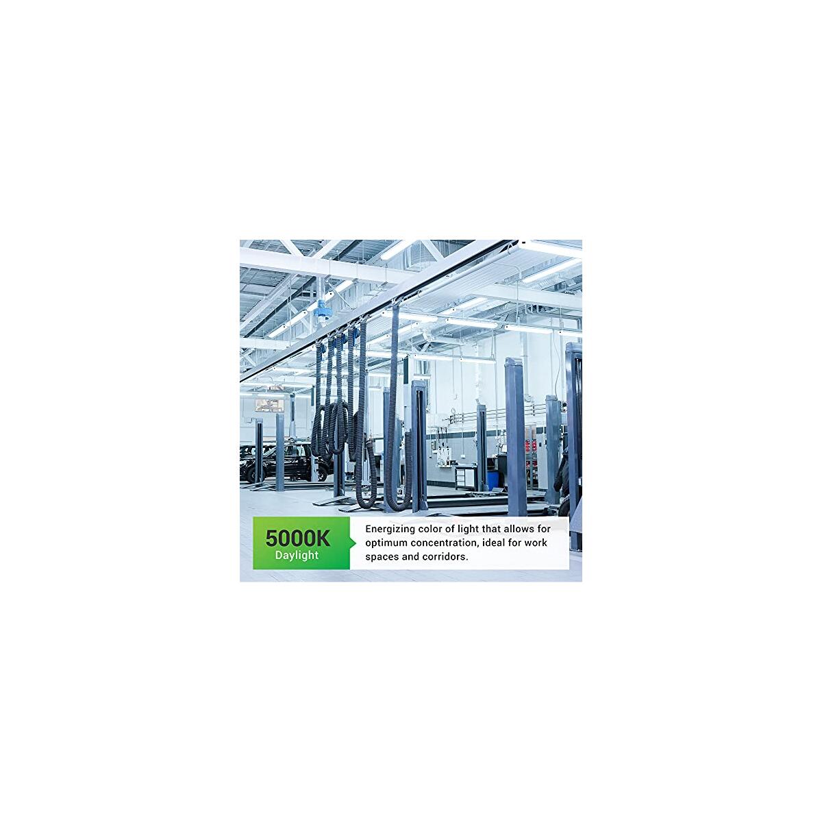 Sunco Pack W W Coupon - RebateKey