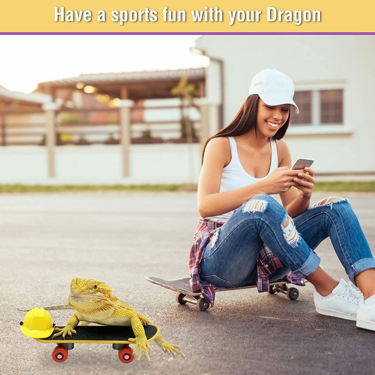 Bearded Dragon Carrier Deal - RebateKey